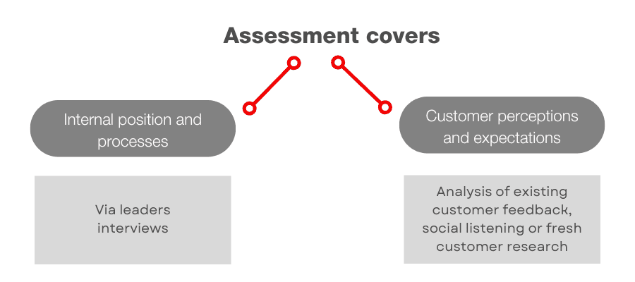 The Customer Experience Maturity Assessment covers internal and external perspectives